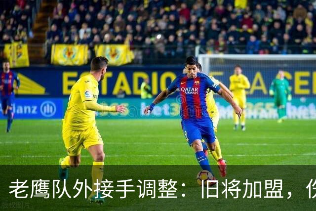 老鹰队外接手调整：旧将加盟，伤员保留训练阵容